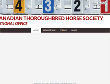 Tablet Screenshot of cthsnational.com